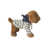 Dogs Apparel and Accessories