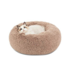Cats Beds and Furniture
